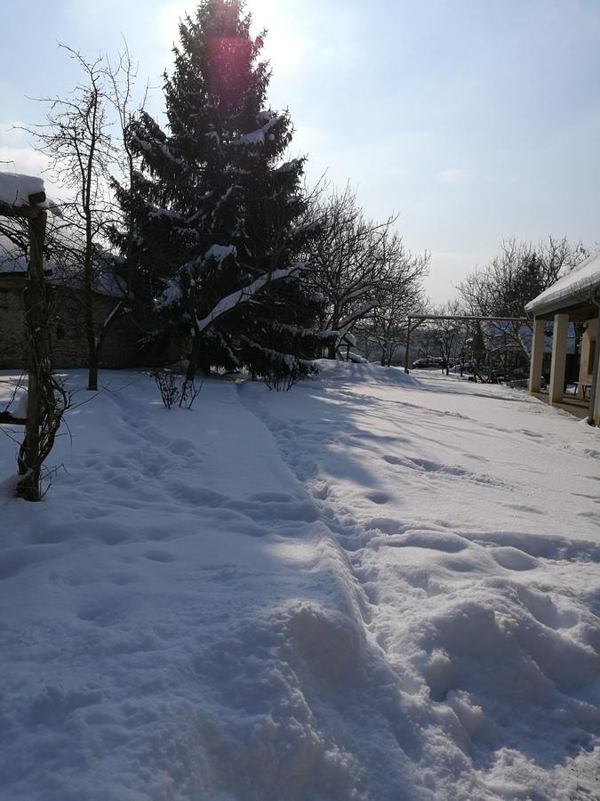 Koppany Lovasudvar Bakonykoppány Extérieur photo